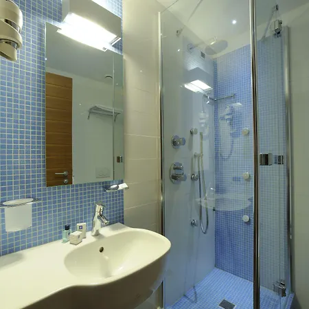Hotel Le Roi 3*